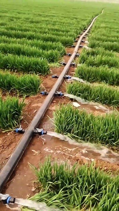 Image of Modern Agricultural technique on a screen